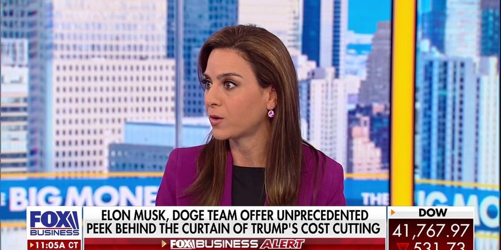 Musk, DOGE offer sneak peek behind Trump’s cost-cutting plan