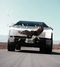 Las “Siete Magníficas” se desinflan en mercados financieros: Tesla lidera caída
